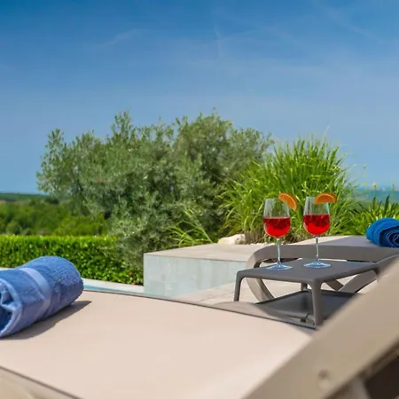 Modern Lukas With Pool In Vizinada