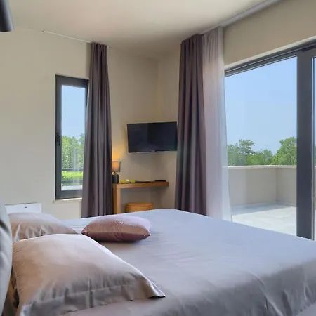 Villa Modern Lukas With Pool In Vizinada