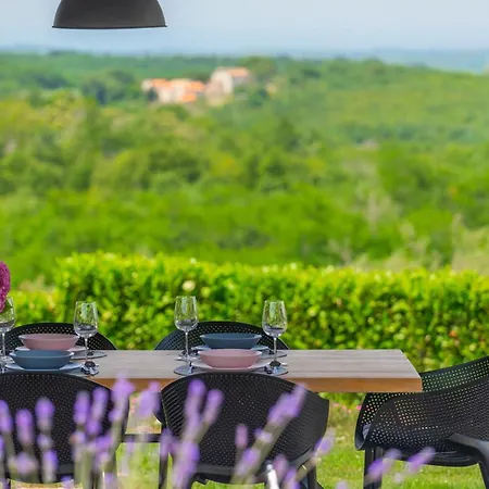 Modern Lukas With Pool In Vizinada Villa Markovac