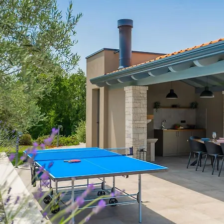 Villa Modern Lukas With Pool In Vizinada *