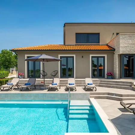 Modern Lukas With Pool In Vizinada Villa Markovac