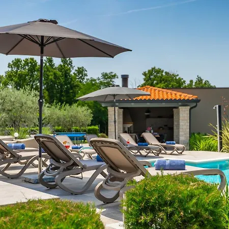 Modern Lukas With Pool In Vizinada Villa *