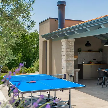 Villa Modern Lukas With Pool In Vizinada *