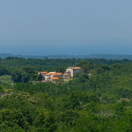 Modern Lukas With Pool In Vizinada Markovac