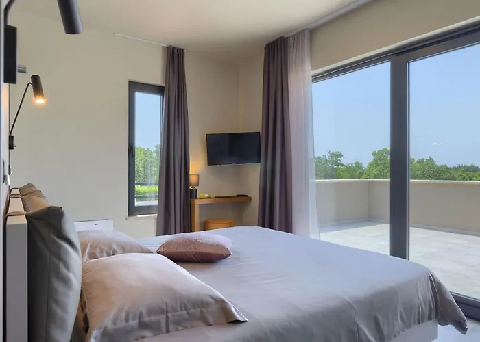 Villa Modern Lukas With Pool In Vizinada