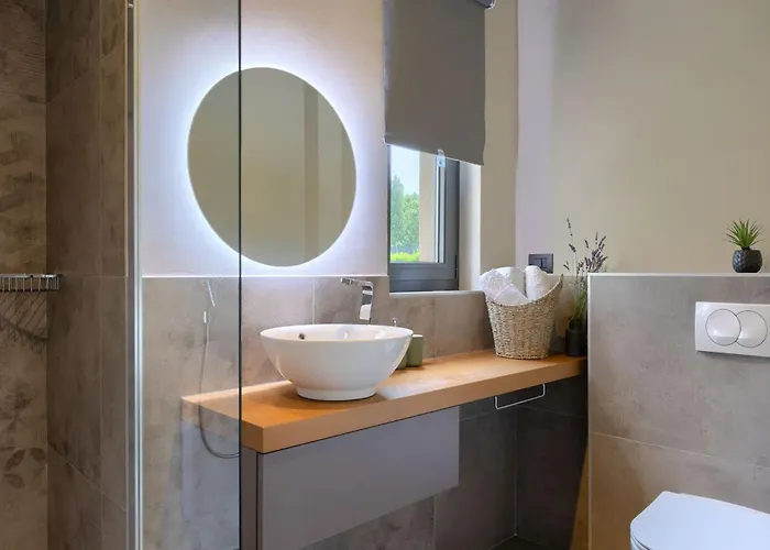 Modern Lukas With Pool In Vizinada Villa