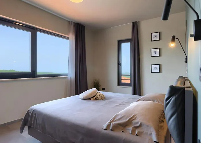 Villa Modern Lukas With Pool In Vizinada Markovac