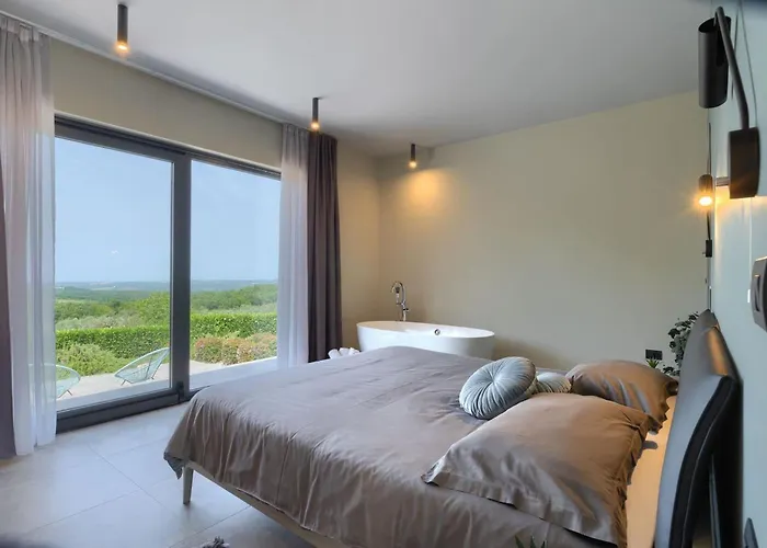 Modern Lukas With Pool In Vizinada Markovac