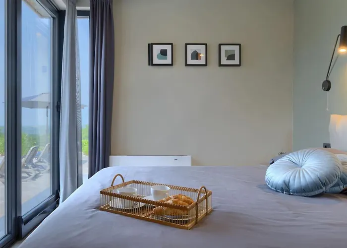 Villa Modern Lukas With Pool In Vizinada