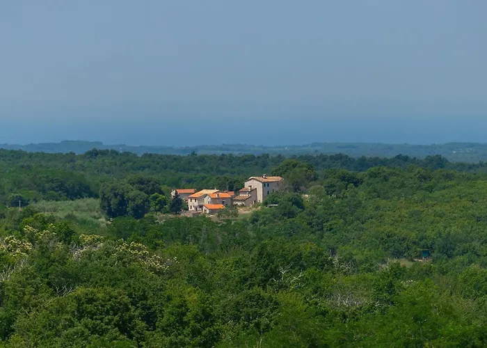 Modern Lukas With Pool In Vizinada Markovac