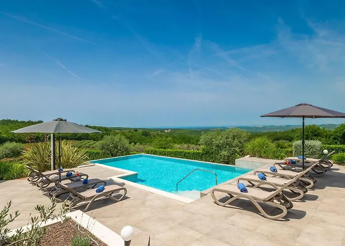 Vila Modern Lukas With Pool In Vizinada *